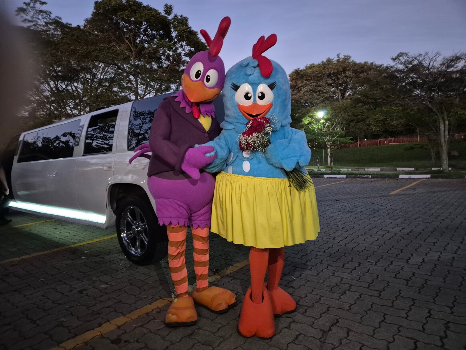 Galinha Pintadinha e o Galo Carijó na Roda Rico