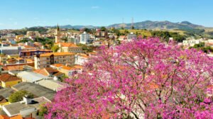 Socorro, no interior de São Paulo, reúne turismo de aventura, natureza, gastronomia e experiências para toda a família.