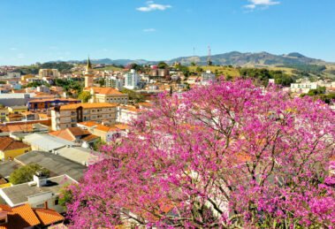 Socorro, no interior de São Paulo, reúne turismo de aventura, natureza, gastronomia e experiências para toda a família.